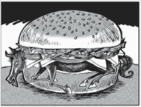 马肉汉堡