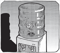 水质污染