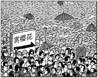 赏樱