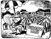 第431期2007/05/14出版