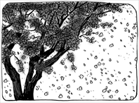 今日图片