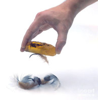 琥珀吸引轻小物体