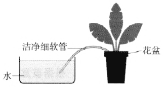 图2-10